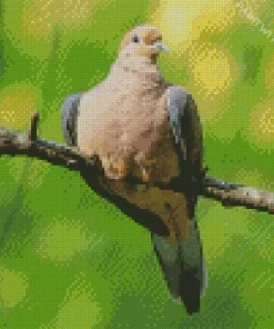 Mourning Dove On A Tree Branch Diamond Painting