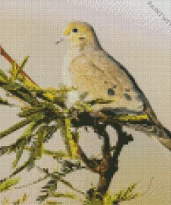 Mourning Dove On A Tree Diamond Painting