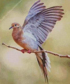 Mourning Dove With Big Wings Diamond Painting