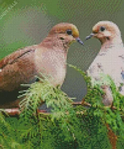 Mourning Doves Diamond Painting