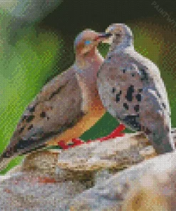 Mourning Doves Lovers Diamond Painting