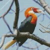 Narcondam Hornbill Diamond Painting