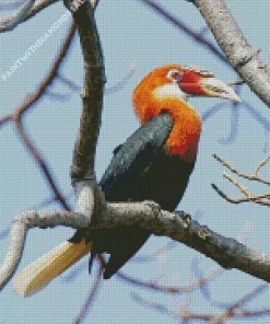 Narcondam Hornbill Diamond Painting