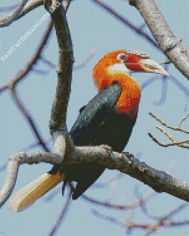 Narcondam hornbill Diamond Dotz Narcondam Hornbill Diamond Painting