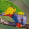 New Caledonian Lorikeet Diamond Painting