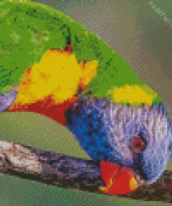 New Caledonian Lorikeet Diamond Painting