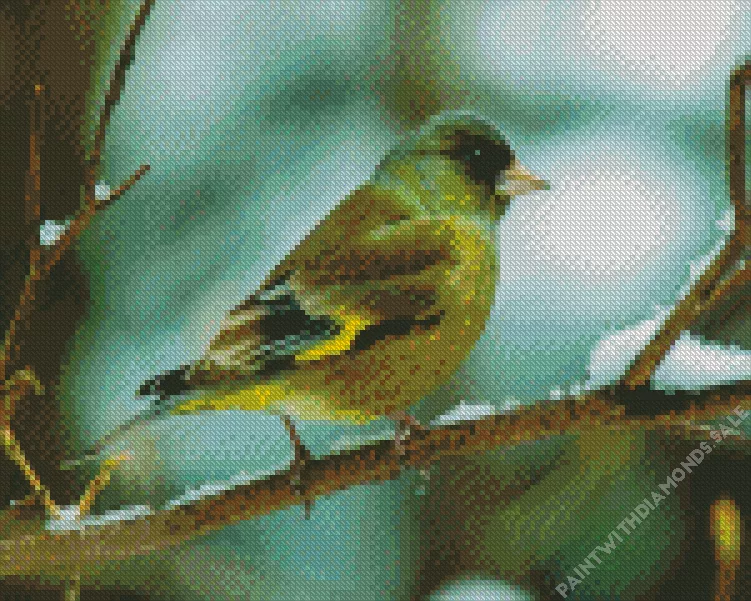 Oriental greenfinch Diamond Dotz Oriental Greenfinch Diamond Painting