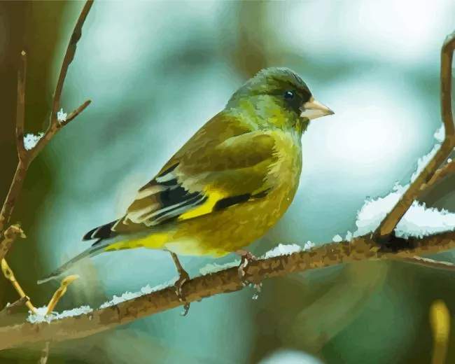 Oriental greenfinch Diamond With Numbers Oriental Greenfinch Diamond Painting
