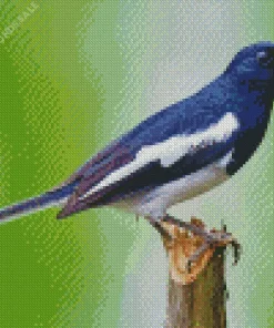 Oriental Magpie Diamond Painting