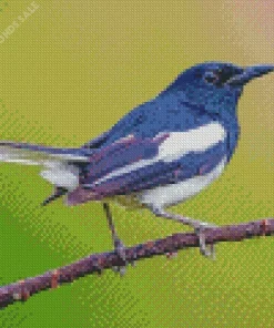 Oriental Magpie On A Branch Diamond Painting