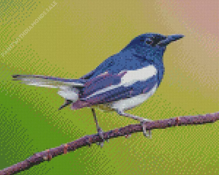 Oriental magpie on a branch Diamond Dotz Oriental Magpie On A Branch Diamond Painting