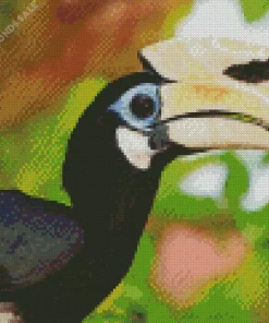 Palawan Hornbill Diamond Painting