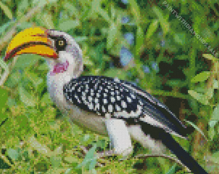 Pale billed hornbill Diamond Dotz Pale Billed Hornbill Diamond Painting