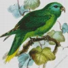 Palm Lorikeet Diamond Painting
