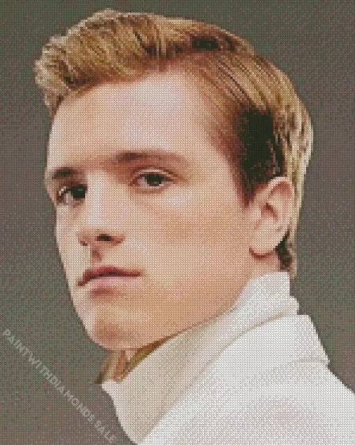 Peeta Mellark The Hunger Games Art Diamond Painting