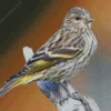 Pine Siskin Diamond Painting