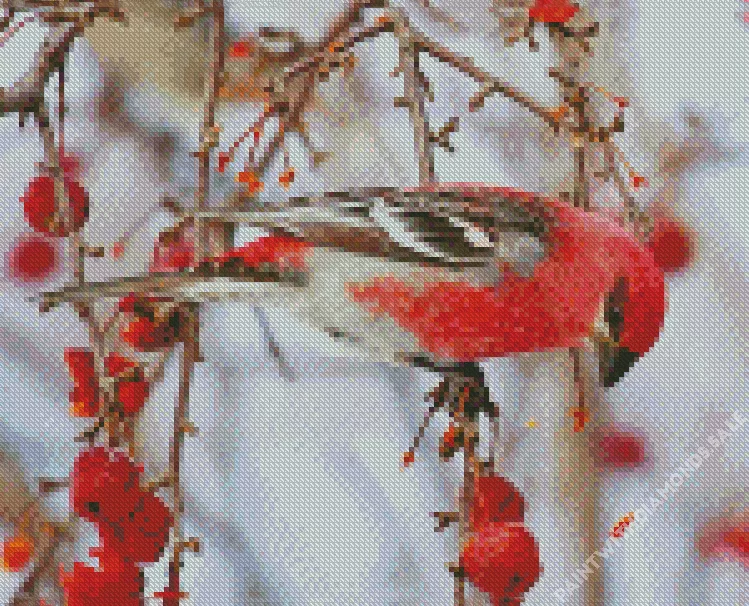 Pinicola bird Diamond Dotz Pinicola Bird Diamond Painting