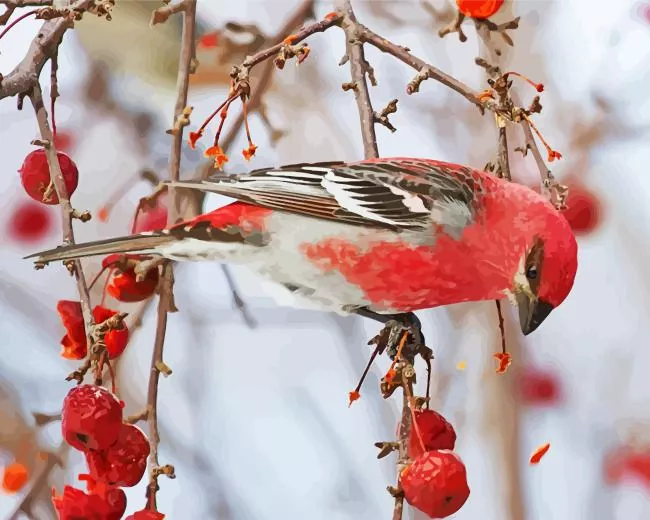 Pinicola bird Diamond With Numbers Pinicola Bird Diamond Painting