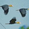 Plain Pouched Hornbill Birds Diamond Painting