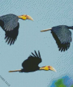 Plain Pouched Hornbill Birds Diamond Painting