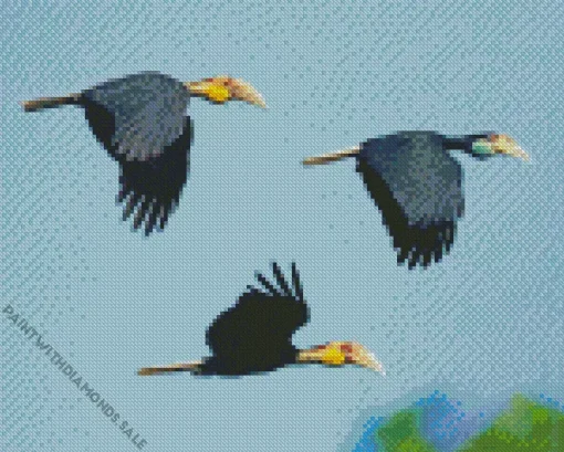 Plain Pouched Hornbill Birds Diamond Painting