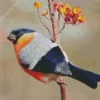 Pyrrhula Bird Diamond Painting