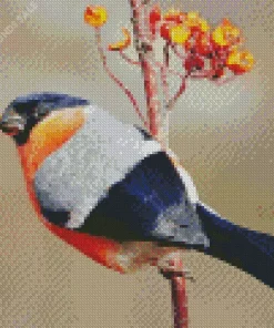 Pyrrhula Bird Diamond Painting