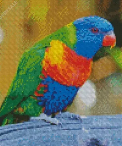 Rainbow Lorikeet Diamond Painting