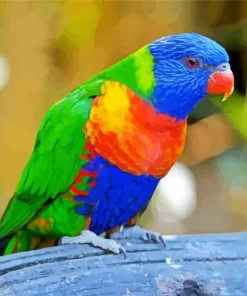 Rainbow Lorikeet Diamond Painting