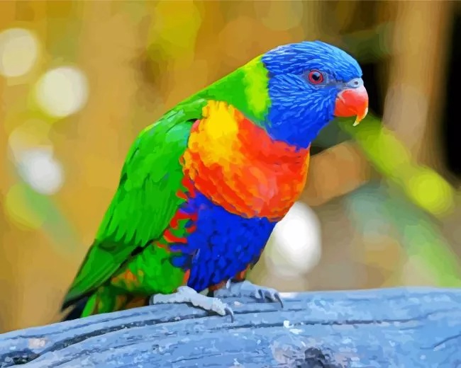Rainbow lorikeet Diamond With Numbers Rainbow Lorikeet Diamond Painting