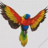 Rainbow Lorikeet Flying Diamond Painting