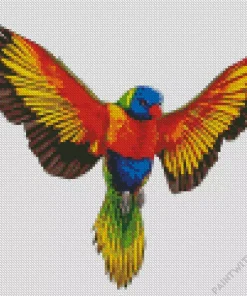 Rainbow Lorikeet Flying Diamond Painting