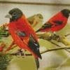 Red Siskin Diamond Painting