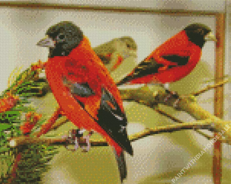 Red Siskin Diamond Dotz Red Siskin Diamond Painting