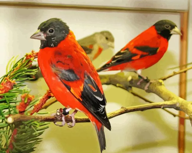 Red Siskin Diamond With Numbers Red Siskin Diamond Painting