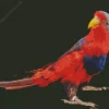Red And Blue Lory Diamond Painting