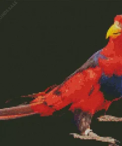 Red And Blue Lory Diamond Painting