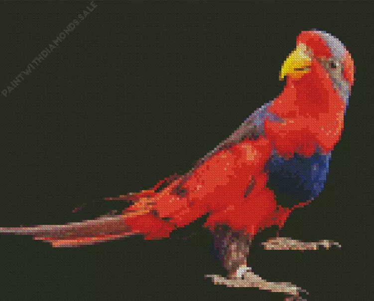 Red and blue lory Diamond Dotz Red And Blue Lory Diamond Painting
