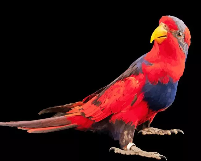 Red and blue lory Diamond With Numbers Red And Blue Lory Diamond Painting