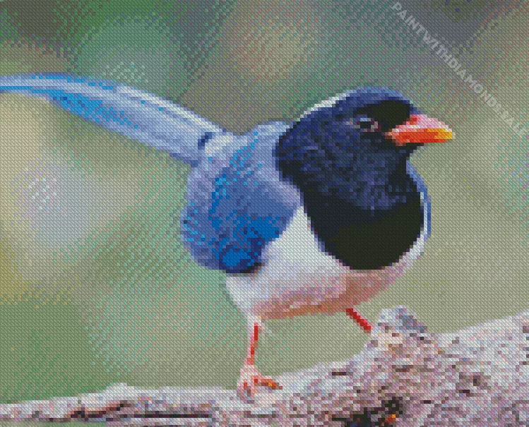 Red billed blue magpie bird Diamond Dotz Red Billed Blue Magpie Bird Diamond Painting