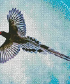 Red Billed Blue Magpie In The Sky Diamond Painting