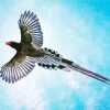 Red Billed Blue Magpie In The Sky Diamond Painting