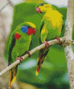 Red Flanked Lorikeet Birds Diamond Painting