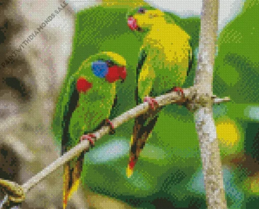 Red Flanked Lorikeet Birds Diamond Painting