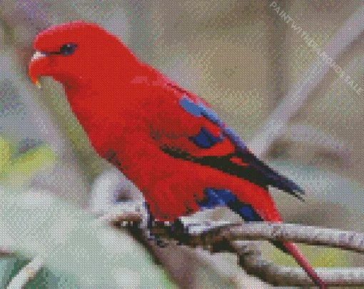 Red Lory Diamond Painting