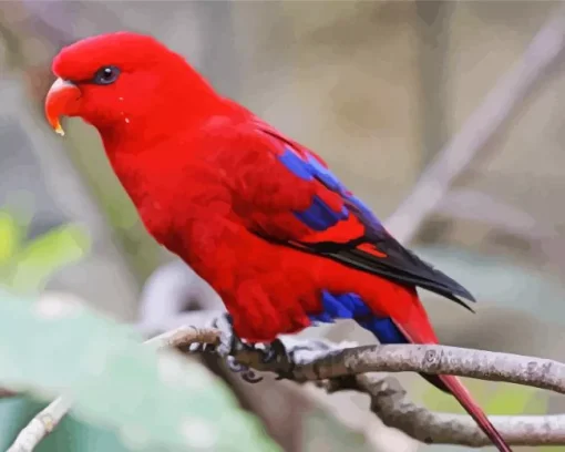 Red Lory Diamond Painting