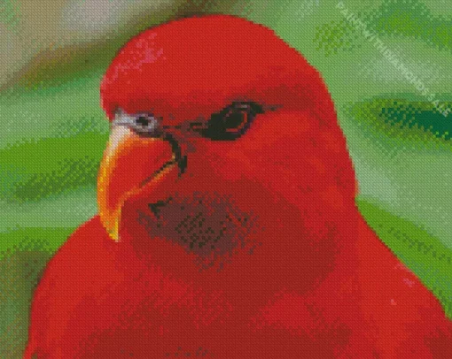 Red Lory Bird Diamond Painting