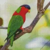 Red Throated Lorikeet Diamond Painting