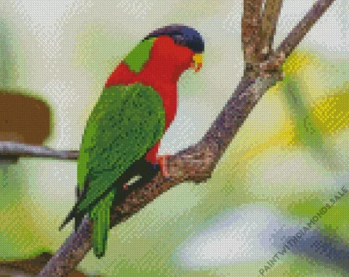 Red Throated Lorikeet Diamond Painting