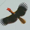 Rufous Hornbill Diamond Painting